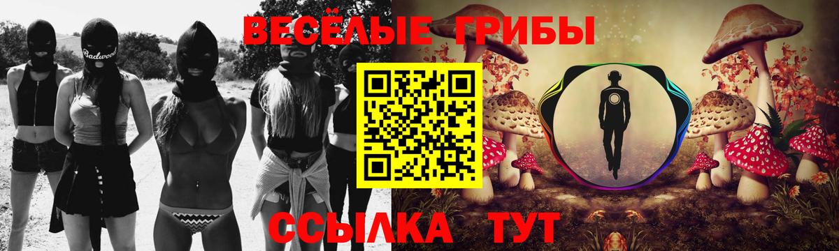 Галлюциногенные грибы Psilocybine cubensis  Вход с VPN  Новоалтайск 